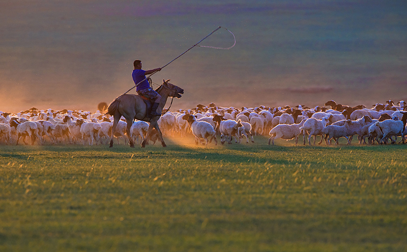 Mongolian nomadic life